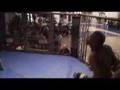 Deray Davis vs Deon Baines