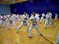 Kyokushinkan Polska, Seminarium Instruktorskie Wałcz 2007