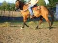videos de Eddie on Freya