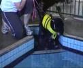 Cascade first swimming lesson 11 April 2008