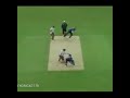 Search Video
