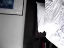Hotel Opus/ Hotel Goldwin Montreal, Canada