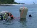 Oceanic Voyagers Drop Small