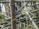 Edinburgh zoo Edinburgh zoo