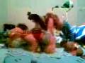 videos de Vídeo000.3gp