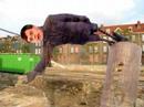 Frysl�n boppe