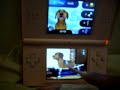 Paws and Claws Dogs and Cats for ds Paws and Claws Dogs and Cats for ds