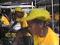 Hummingbird Pan Groove - Steelband Paradise Hummingbird Pan Groove - Steelband Paradise