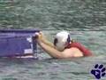 The Daily Enters the Seafair Milk Carton Derby