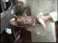 Chicago's best steaks- part 2