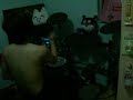 BEAMS (kuroyume 清春 cover version ) drums cover by steting