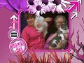 Gatos 8