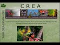 CREA - Saving Tropical Ecosystems