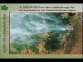 CREA - Saving Tropical Ecosystems