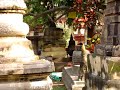 Mahabodhi temple praying monks Mahabodhi temple praying monks