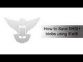 How to save SHSH blobs with iFaith How to save SHSH blobs with iFaith
