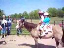 Nora & Kate on the horse Nora & Kate on the horse