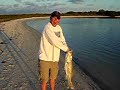 Honeymoon Island Snook Honeymoon Island Snook