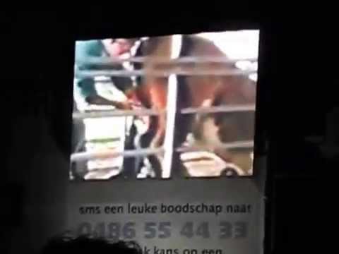 Bekijk hier de video