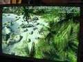 Crysis VS Maxishine 8800 Ultra SLi System
