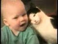 crazy animals