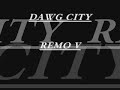 Remo V - The Future