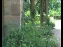 Loire et Paris 2008 - Parte 9 - Tour de France - Versailles