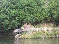 Tesourinho Filarm�nico - 2� Epis�dio