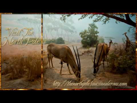 Image de prévisualisation YouTube