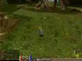 PristonTale - GM Stuff
