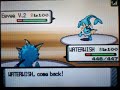 POKEMON WIFI BATTLE 22 VS pyromanical7