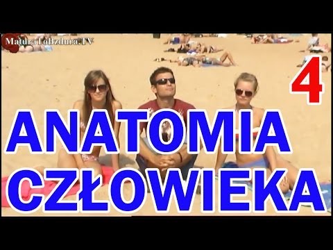 Matura To Bzdura - ANATOMIA CZŁOWIEKA odc. 4