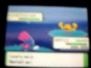 Shiny Chaining - catch a golden Geodude Shiny Chaining - catch a golden Geodude
