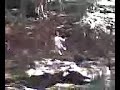 james jump james jump