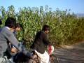 videos de 100 0164