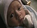 Len TV: Kateri
