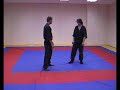 aikibujutsu  ude kime nage