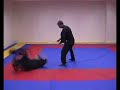 aikibujutsu  ude kime nage