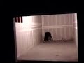 home video