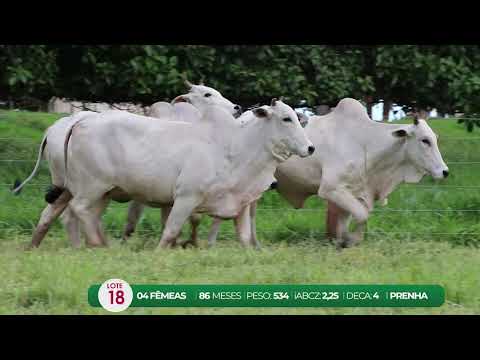 LEILO VIRTUAL FMEAS AGROPECURIA RIBEIRPOLIS