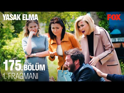 Yasak Elma 175. Bölüm Fragmanı                                                                                                                                                                                                                            