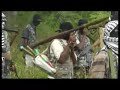 Somali opposition groups ally - 13 Sept 07