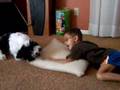 nolan and chase