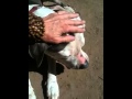 LEYLA SUNBATHING - YouTube
