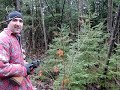 2006 Christmas Tree Harvest 2006 Christmas Tree Harvest
