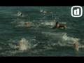 ZEROD the Movie Clip !