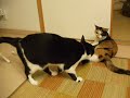 DSCF8562