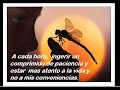 Atracción, encontrarse a si mismo Atracción, encontrarse a si mismo