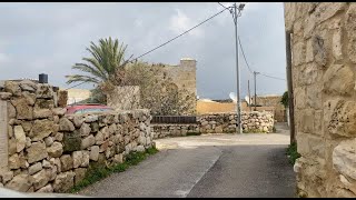 جولة في قرية حجة فلسطين