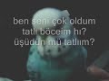 muhabbet kusu kuşu talking budgie - Eglence Videoları